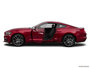 2015 Ford Mustang
                         Driver Side Profile at Carmody Ford