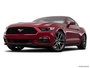 2015 Ford Mustang
                         Front low wide at Carmody Ford